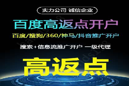 百度竞价推广经典案例解读